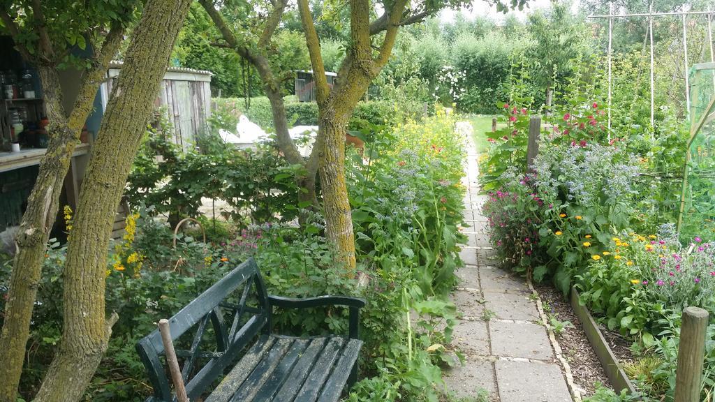 De Kluiskaemer In De Olde Banck Stavoren Eksteriør billede